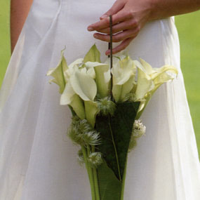 Wedding Bouquets at Dutch Flowers